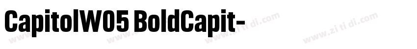 CapitolW05 BoldCapit字体转换